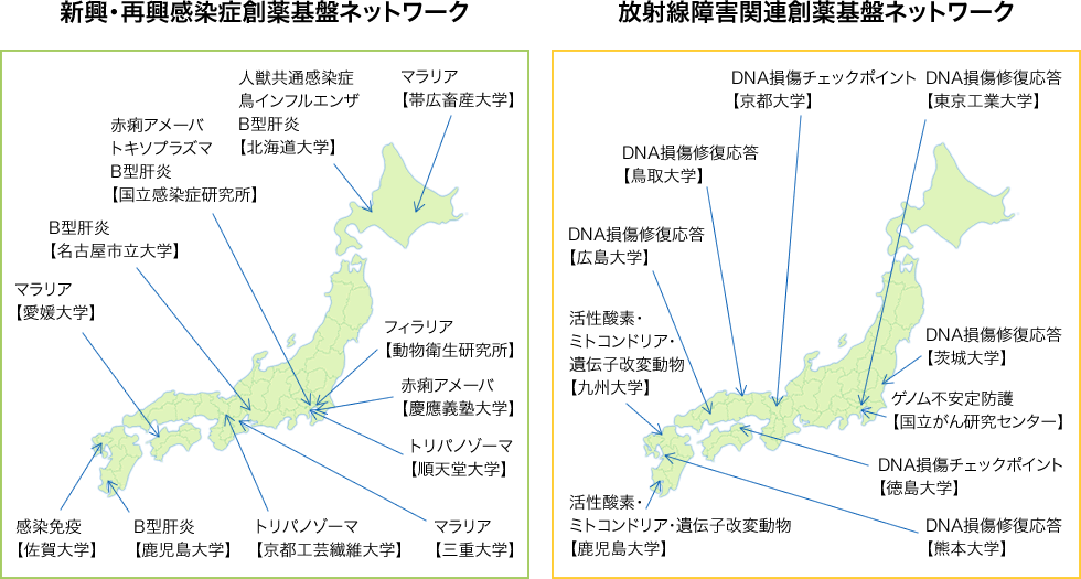 新興・再興感染症創薬基盤ネットワーク<マラリア(帯広畜産大学) 人獣共通感染症・鳥インフルエンザ・B型肝炎(北海道大学) フィラリア(動物衛生研究所) 赤痢アメーバ・トキソプラズマ・B型肝炎(国立感染症研究所) 赤痢アメーバ(慶應義塾大学) トリパノゾーマ(順天堂大学) B型肝炎(名古屋市立大学) マラリア(三重大学) トリパノゾーマ(京都工芸繊維大学) マラリア(愛媛大学) 感染免疫(佐賀大学) B型肝炎(鹿児島大学)> 放射線障害関連創薬基盤ネットワーク<DNA損傷修復応答(茨城大学) DNA損傷修復応答(東京工業大学) ゲノム不安定防護(国立がん研究センター) DNA損傷チェックポイント(京都大学) DNA損傷修復応答(鳥取大学) DNA損傷修復応答(広島大学) DNA損傷チェックポイント(徳島大学) 活性酸素・ミトコンドリア・遺伝子改変動物(九州大学) DNA損傷修復応答(熊本大学) 活性酸素・ミトコンドリア・遺伝子改変動物(鹿児島大学)>
