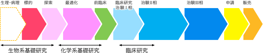 生理・病理／標的／探索／最適化／前臨床／臨床研究治験Ⅰ相／治験Ⅱ相／治験Ⅲ相／申請／販売　生物系基礎研究／化学系基礎研究／臨床研究